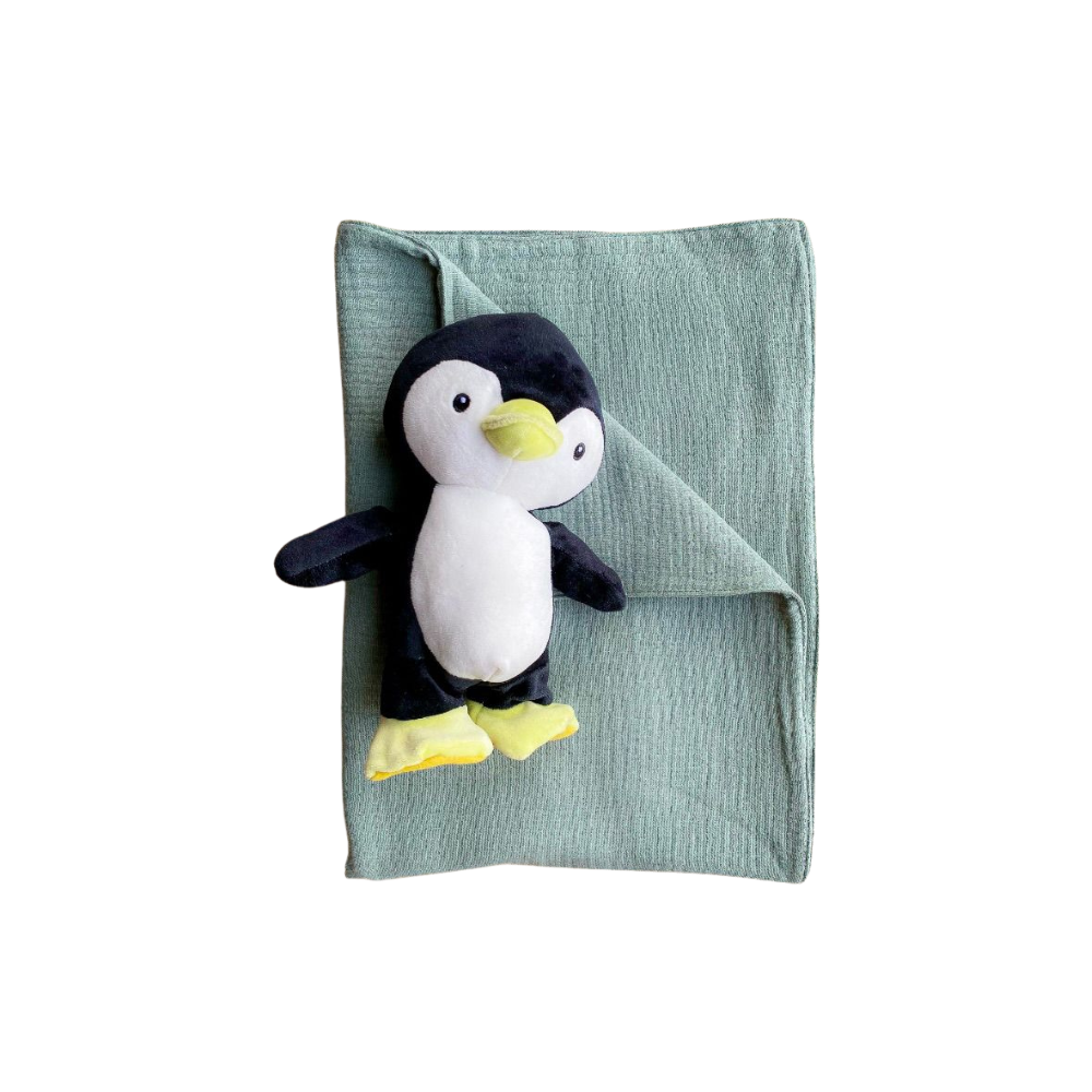 Cotton Chic Blankets - Boy